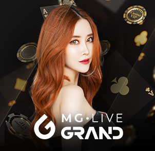 마이크로게이밍 카지노